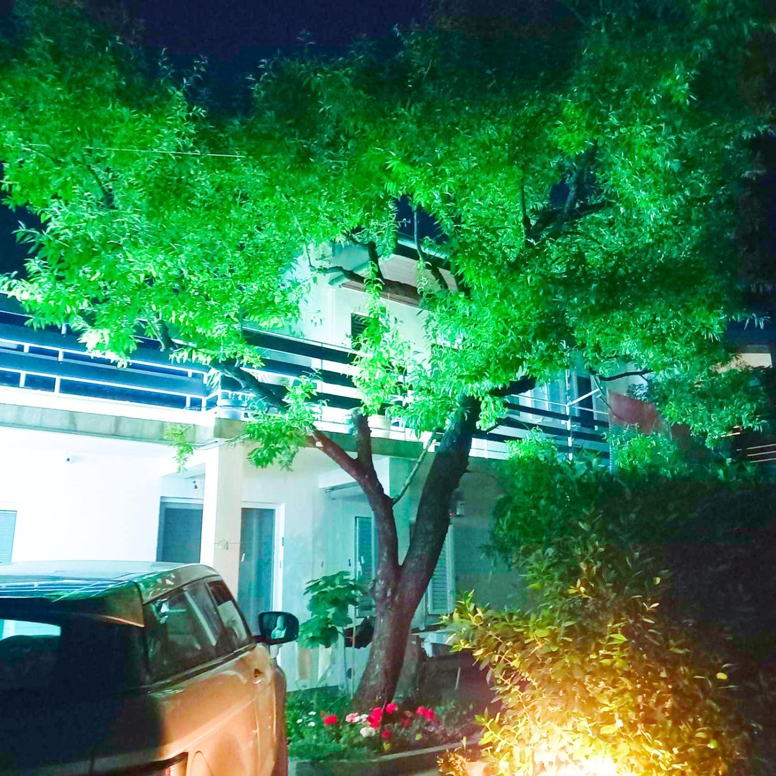 Felix Apartment Biograd Biograd Na Moru Exterior photo
